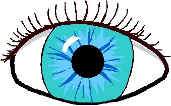 eye